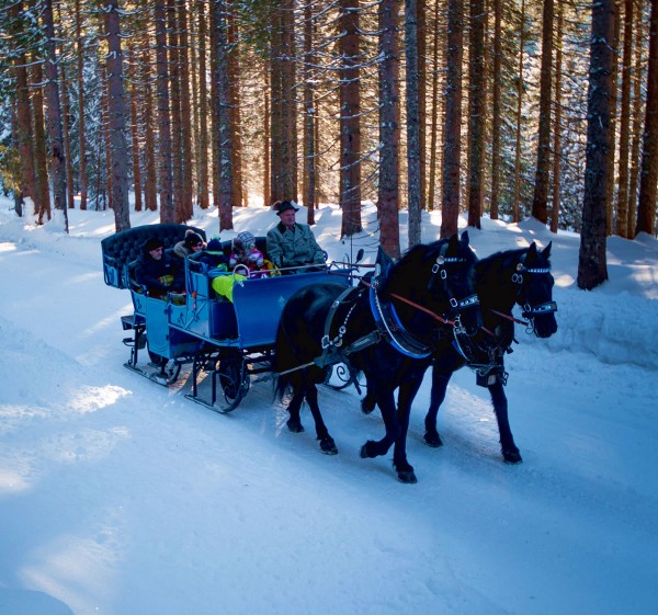 Pferdekutschenfahren © Tourismusverband Filzmoos